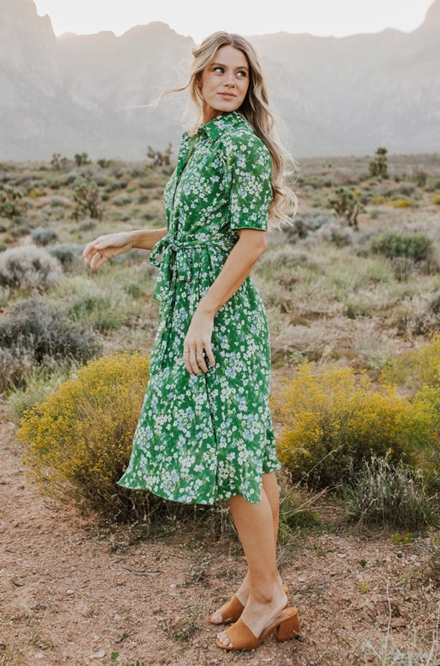 Women Pink Desert Dresses | The Audrey Button Front Dress In Green Floral By Pink Desert