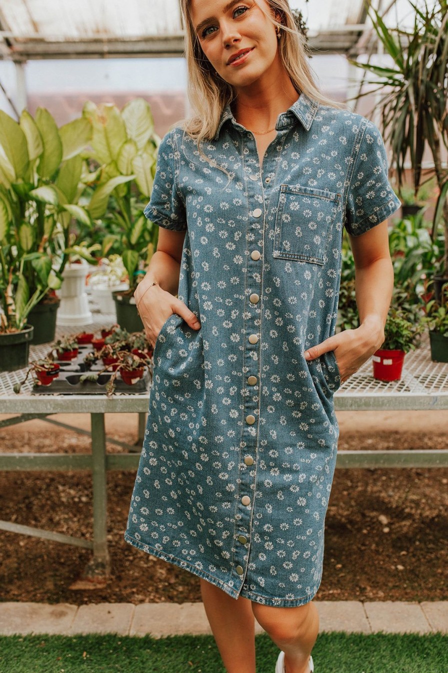 Women Pink Desert Dresses | The Denim Daisy Button Front Dress By Pink Desert